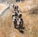 Travis AFB protects environment by using sheep