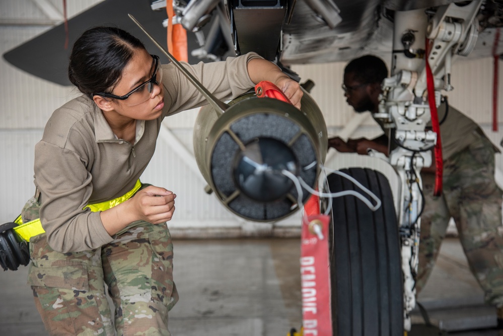 Arming the Eagle: weapons load members set standard