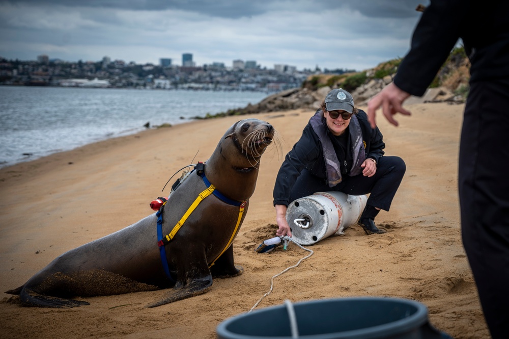 NERE23 Participants Experience Marine Mammal Program Courtesy of NIWC Pacific