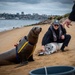 NERE23 Participants Experience Marine Mammal Program Courtesy of NIWC Pacific