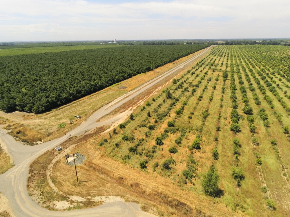 Hamilton City Levee Project