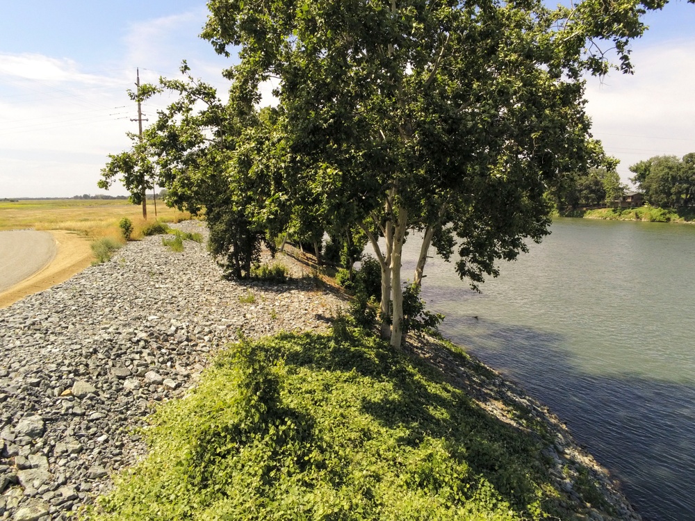 Hamilton City Levee Project