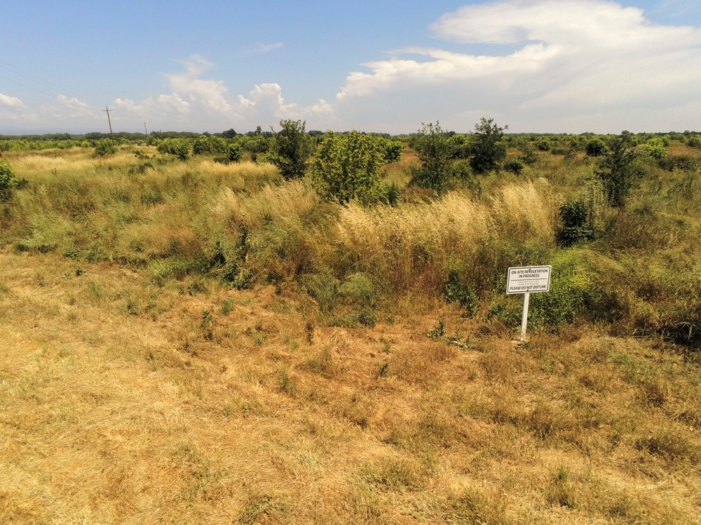 Hamilton City Levee Project