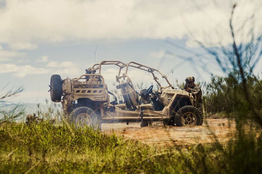 3d Littoral Combat Team Patrol Exercise