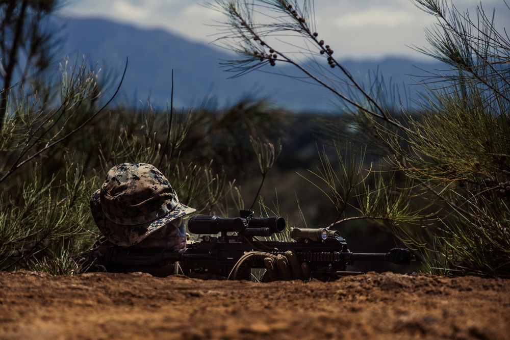 3d Littoral Combat Team Patrol Exercise