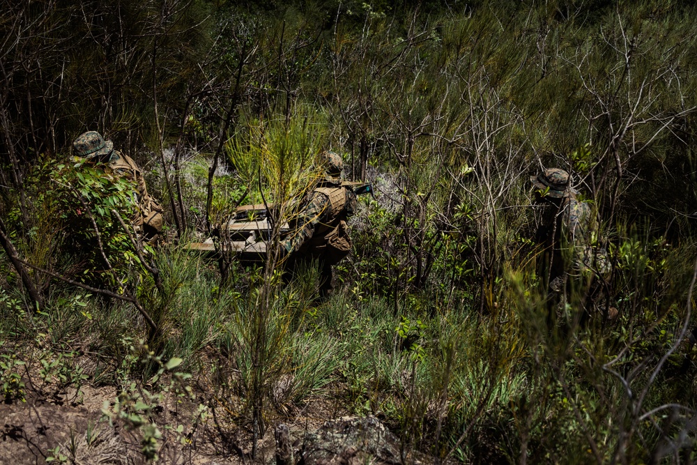 3d Littoral Combat Team Patrol Exercise