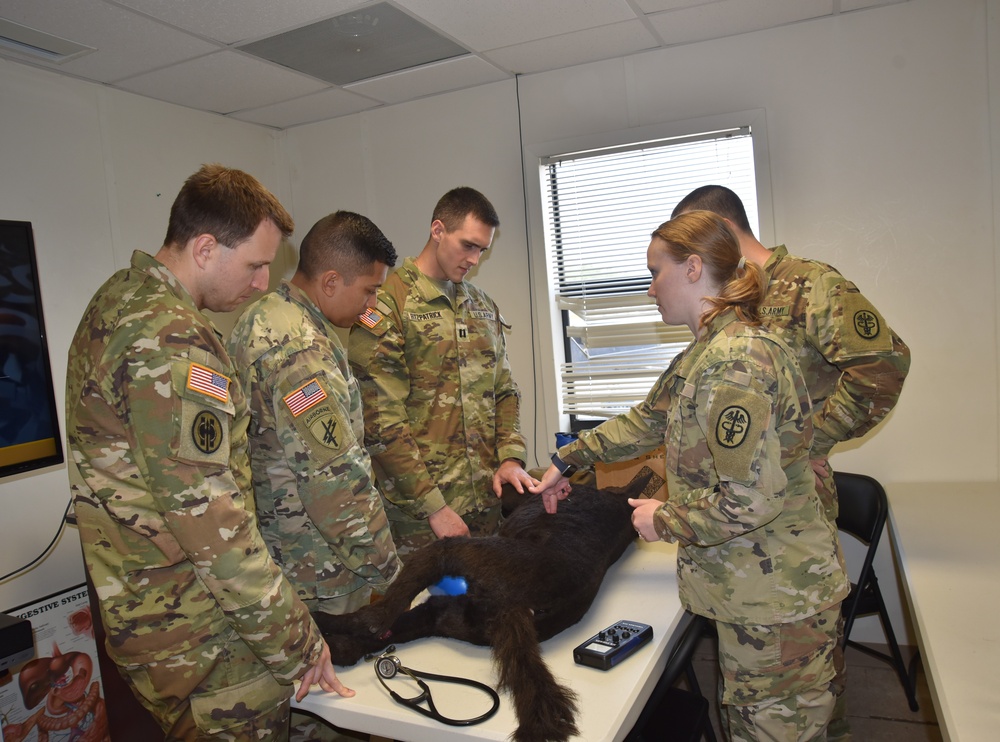 Womack Army Medical Center GME Capstone Exercise