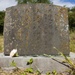 A Buddhist Memorial Service is Conducted at Bellows Japanese Cemetery