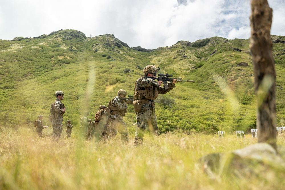 3d MLR Marines Conduct Scout Screener