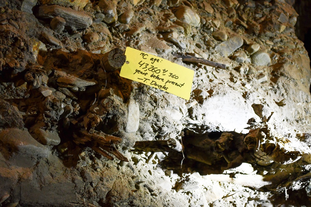 Permafrost Tunnel is world-renowned site for permafrost and climate research