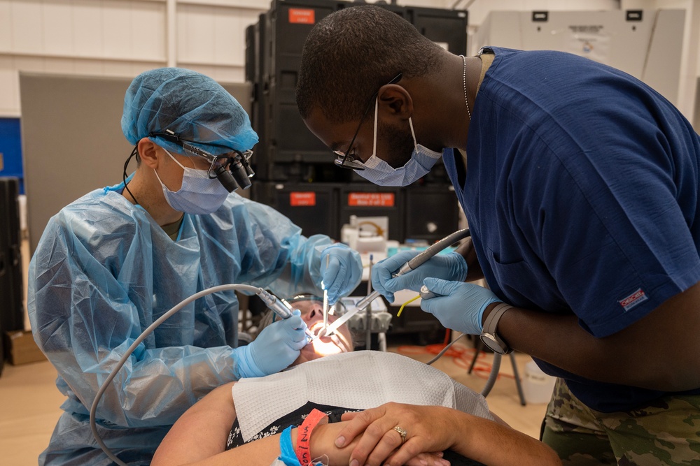 Operation Healthy Delta IRT