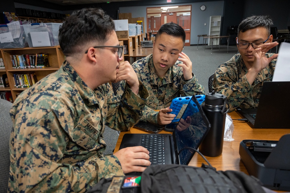 Operation Healthy Delta IRT