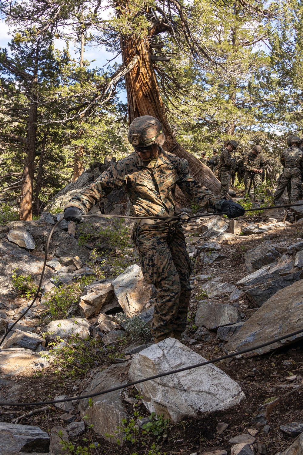 MTX 4-23: Marines with 2/23 practice rappelling at Mountain Warfare Training Center