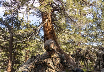 MTX 4-23: Marines with 2/23 practice rappelling at Mountain Warfare Training Center