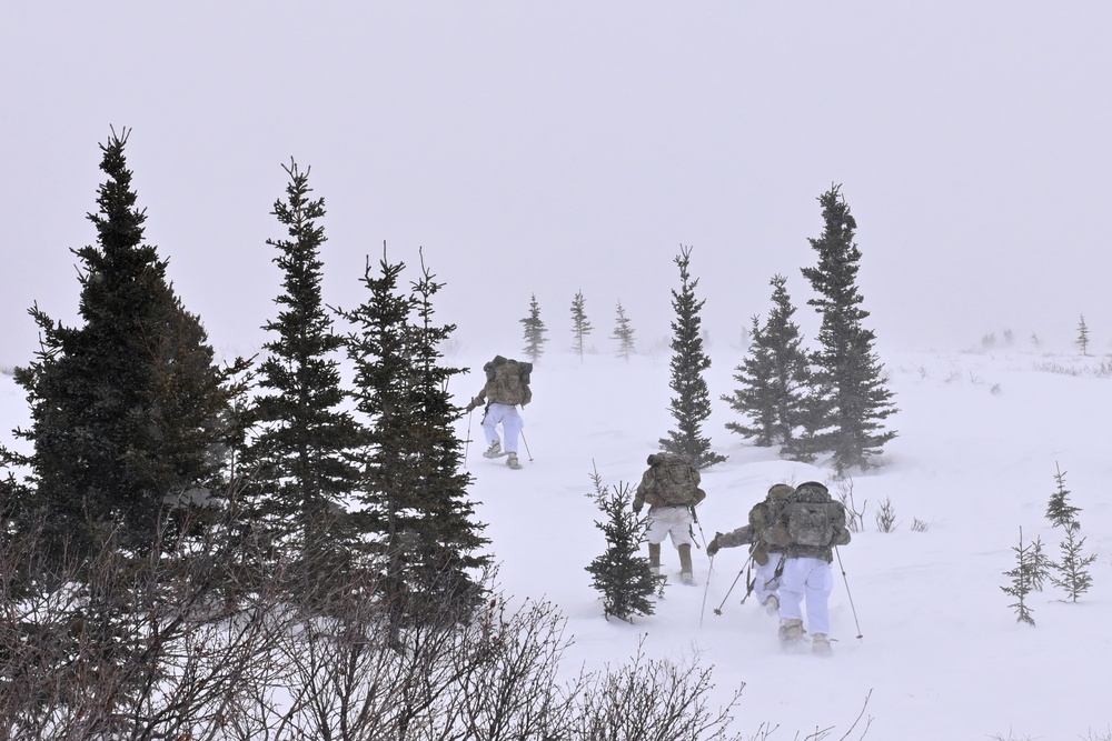 Northern Warfare Training Center meets the demand for increased Arctic training