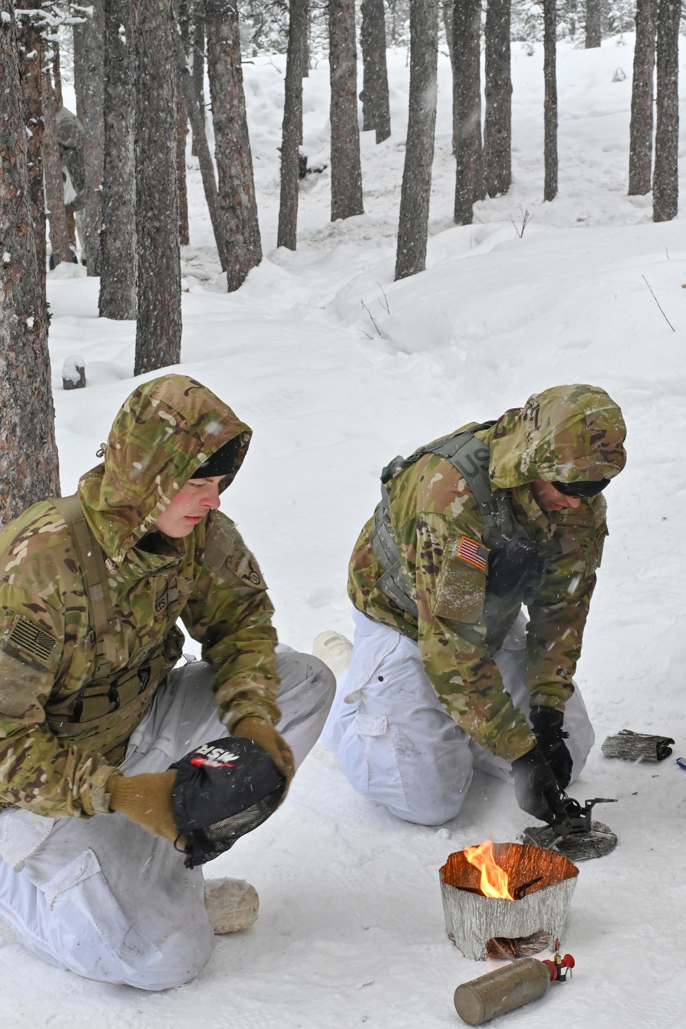 Northern Warfare Training Center meets the demand for increased Arctic training