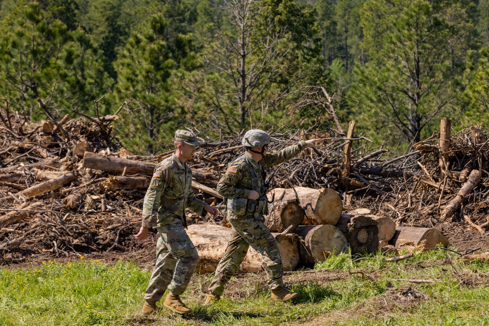 Timber Haul