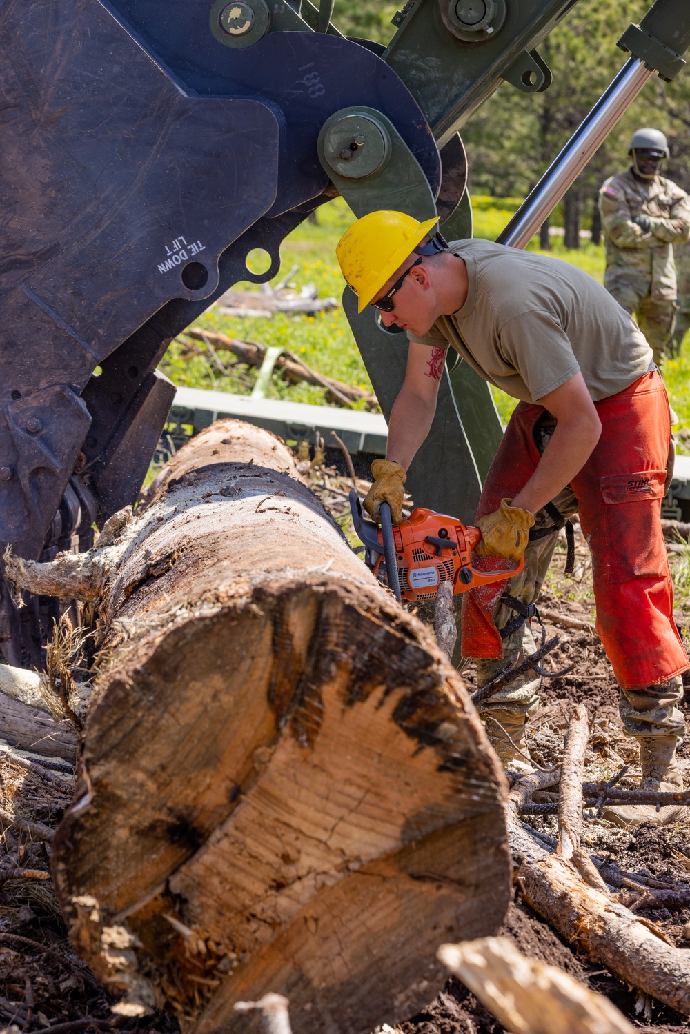 Timber Haul