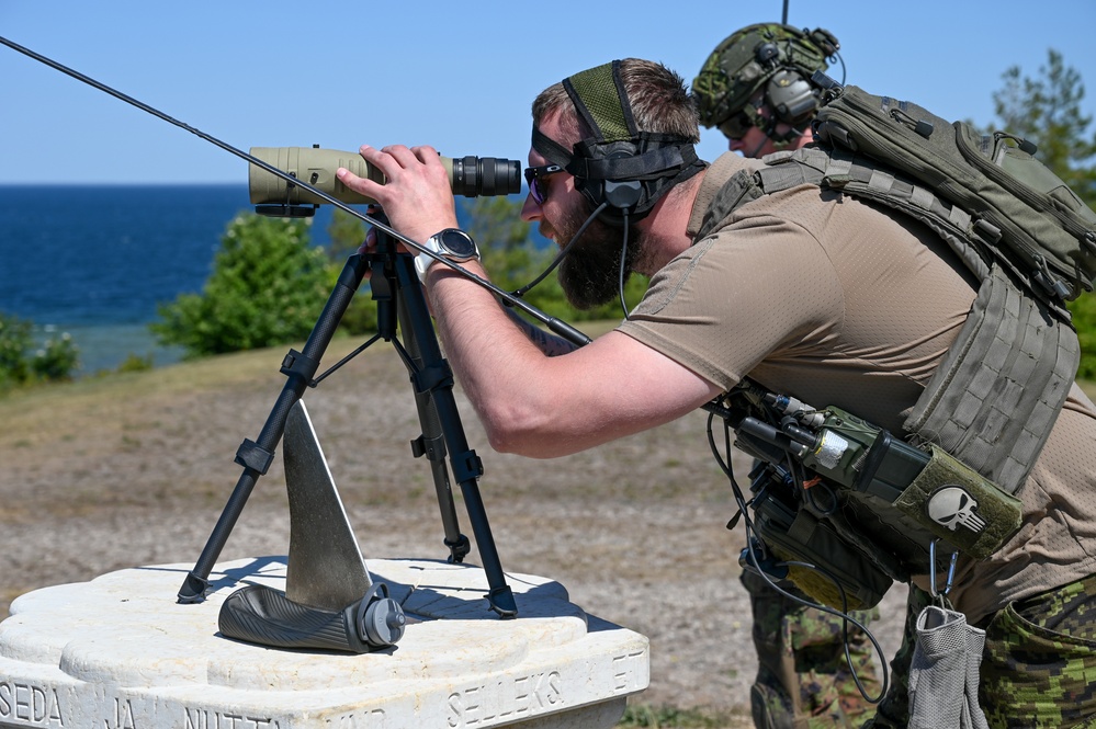 Maryland A-10s and Estonian JTACs train together during live-fire exercise