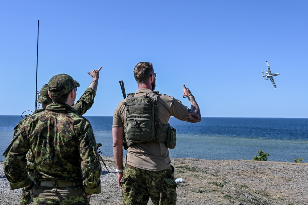 Maryland A-10s and Estonian JTACs train together during live-fire exercise