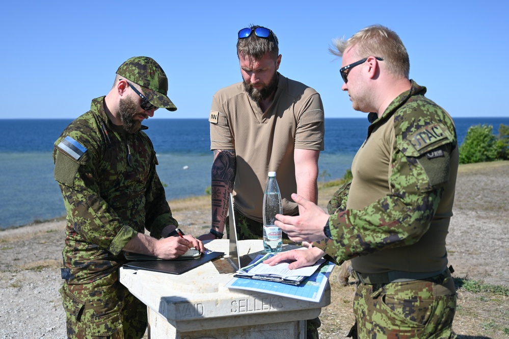 Maryland A-10s and Estonian JTACs train together during live-fire exercise