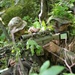 Snipers With Charlie Troop, 172nd Cavalry Regiment, Hone Their Stalking Abilities at Camp Ethan Allen Firing Range