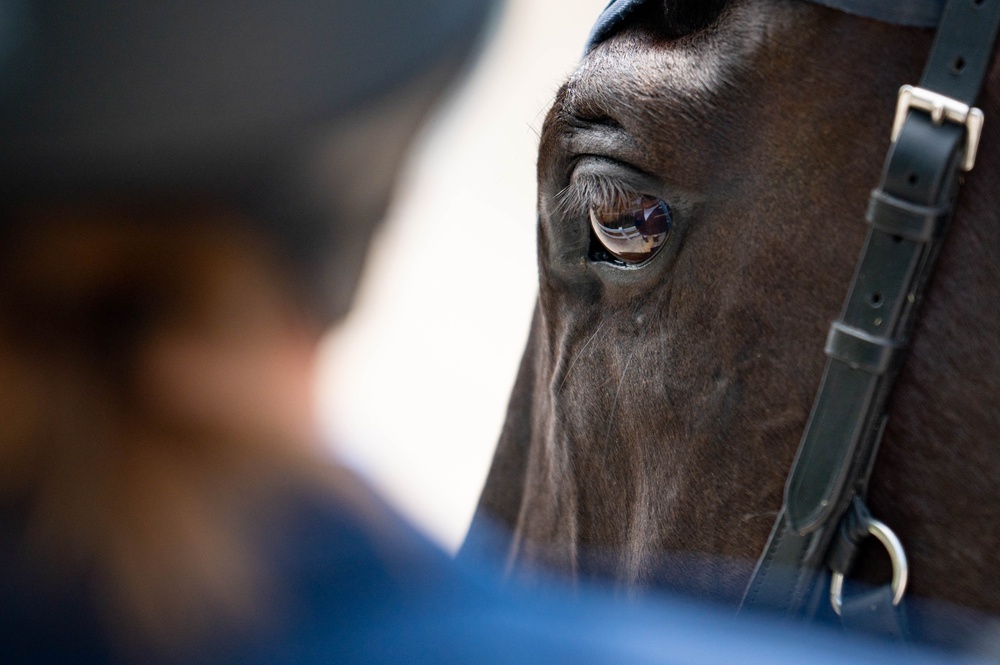 Airman represents Air Force in horse competition, wins first place