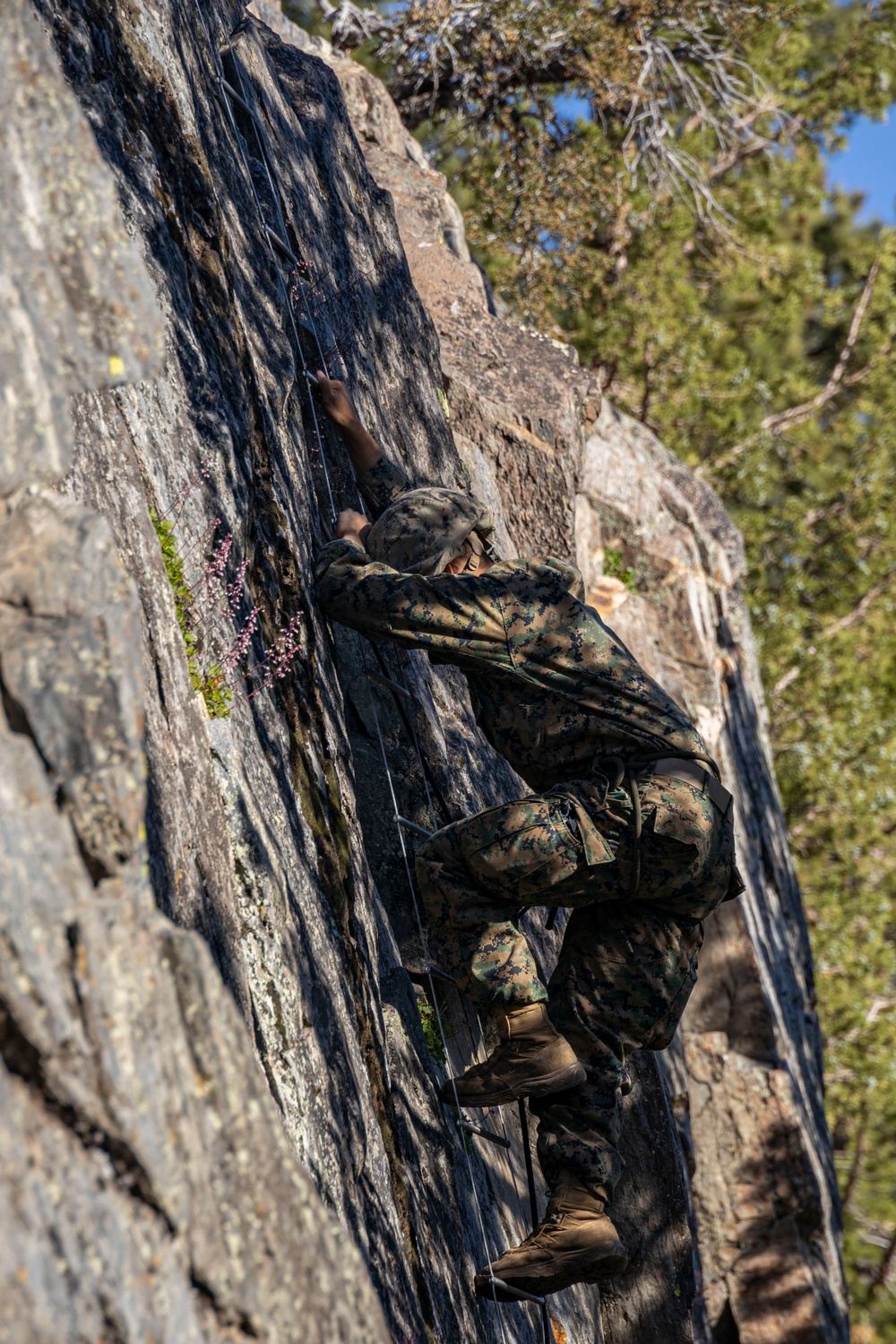 MTX 4-23: Marines with 2/23 practice single lane ascension at Marine Corps Mountain Warfare Training Center