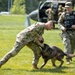 Showcasing military working dog capabilities at Army birthday