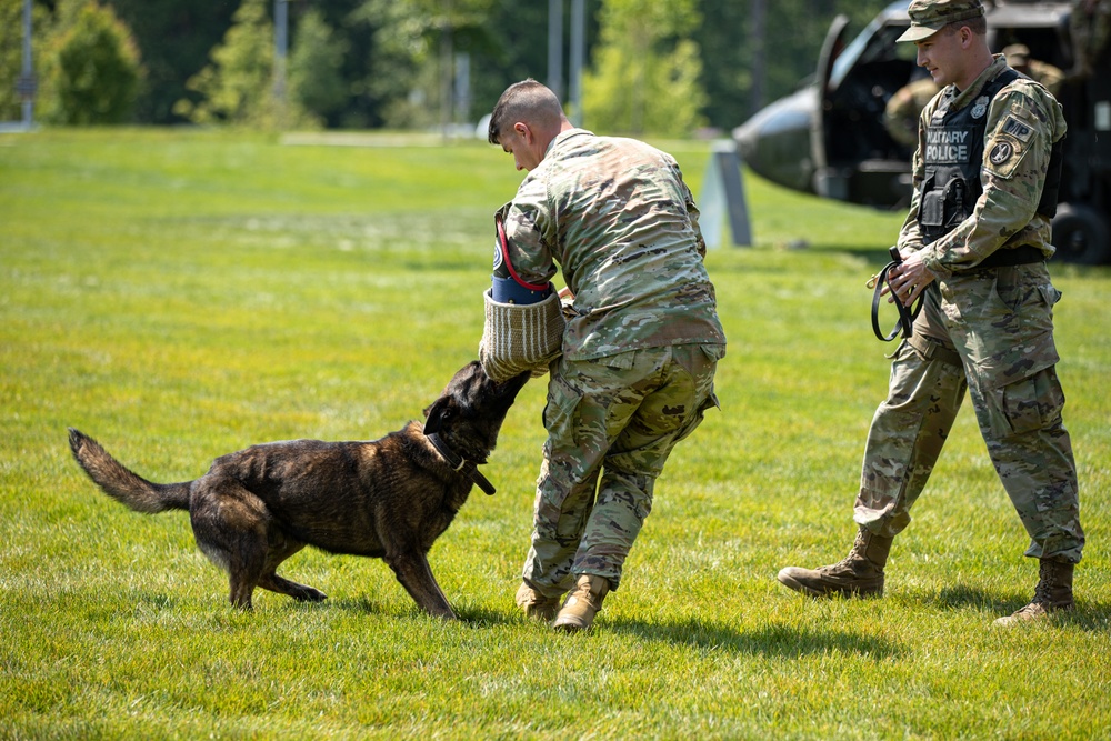 Showcasing military working dog capabilities at Army birthday