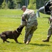 Showcasing military working dog capabilities at Army birthday