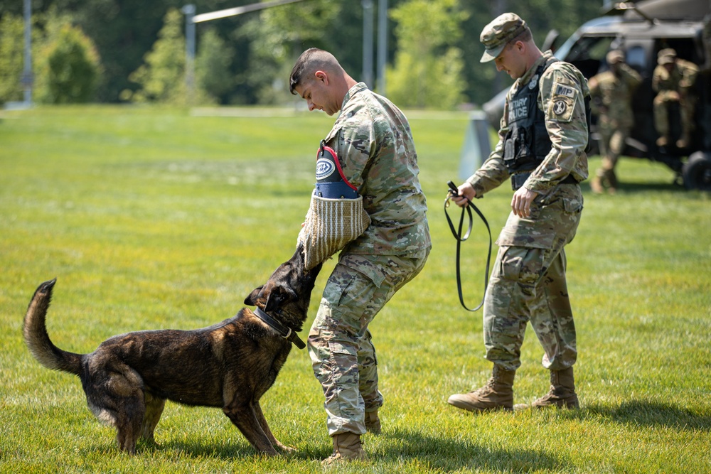 Showcasing military working dog capabilities at Army birthday