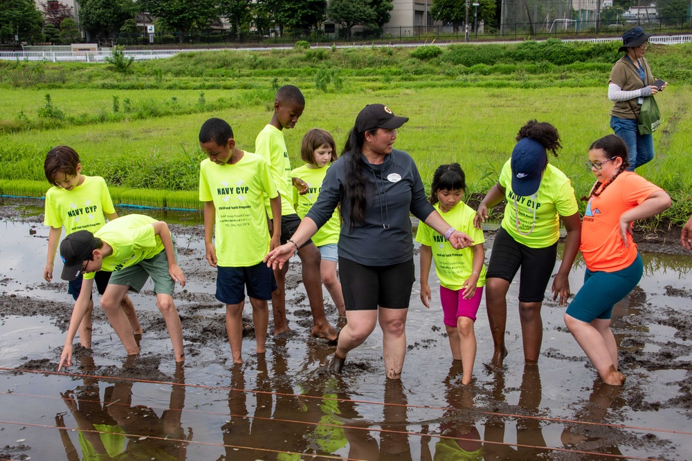 Rice Planting Volunteer Event