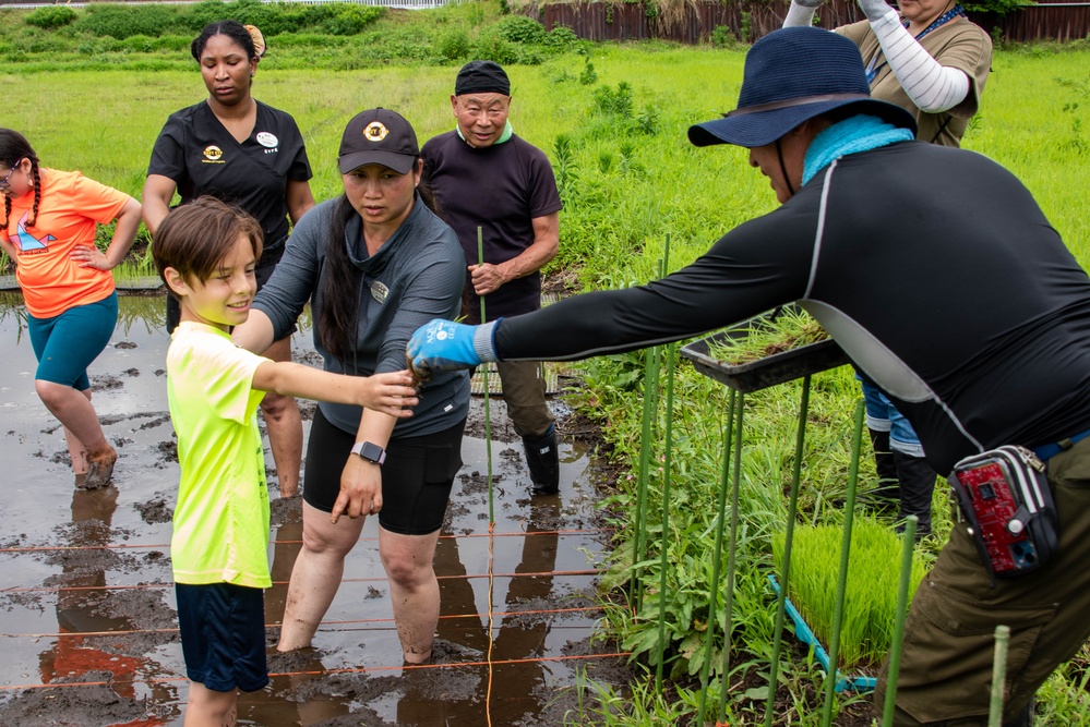 Rice Planting Volunteer Event