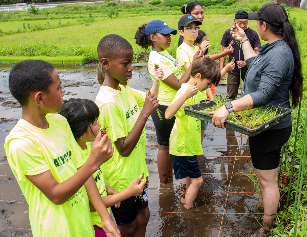 Rice Planting Volunteer Event