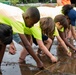 Rice Planting Volunteer Event