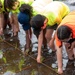 Rice Planting Volunteer Event