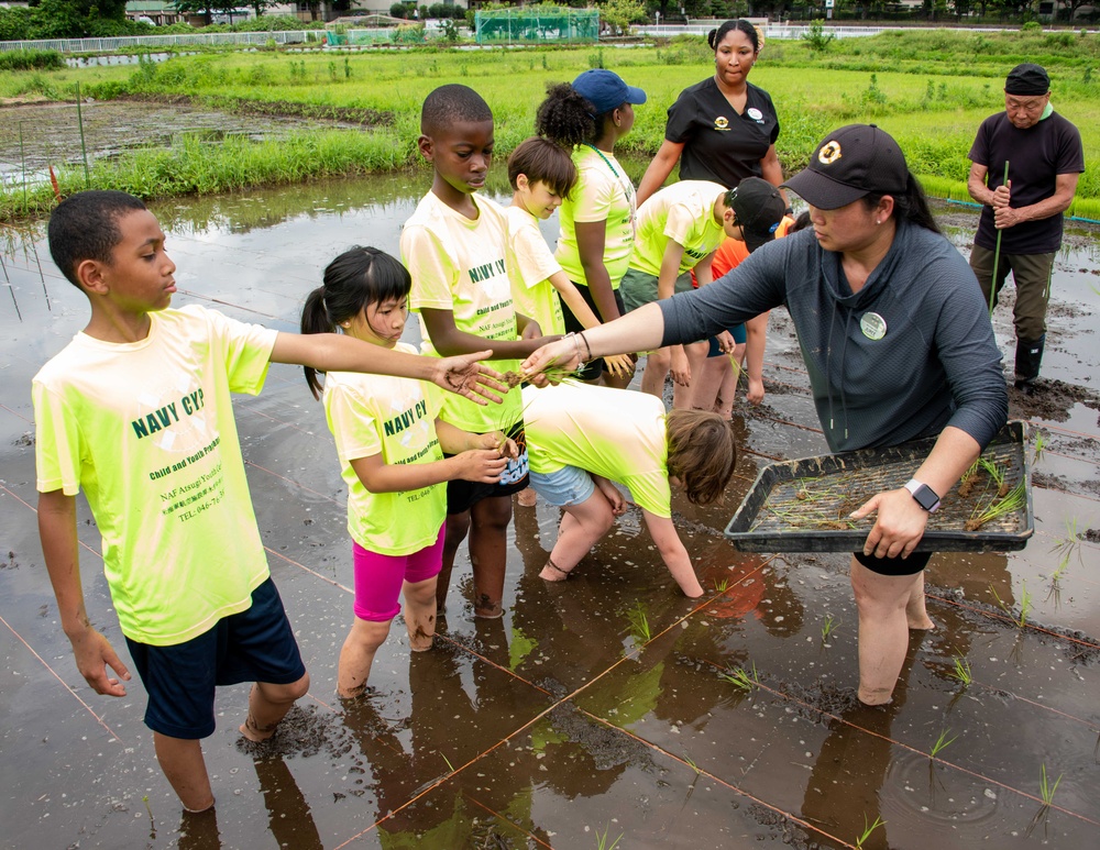 Rice Planting Volunteer Event