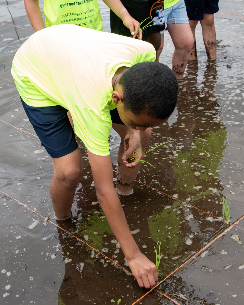 Rice Planting Volunteer Event