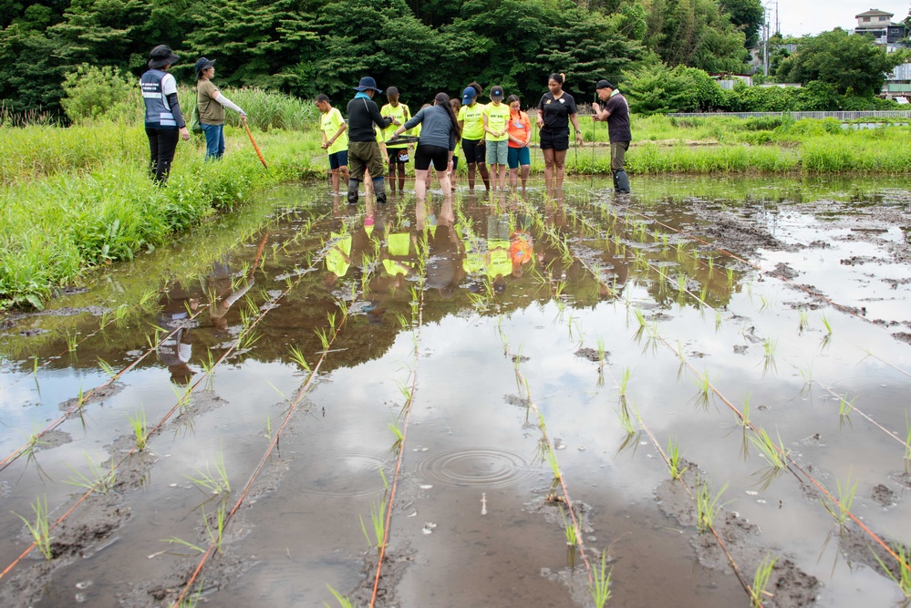 Rice Planting Volunteer Event