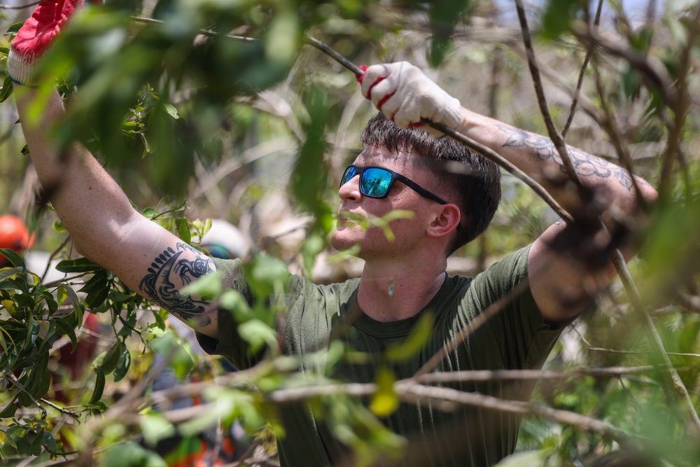 Camp Blaz Marines Participate In Forest Enhancement