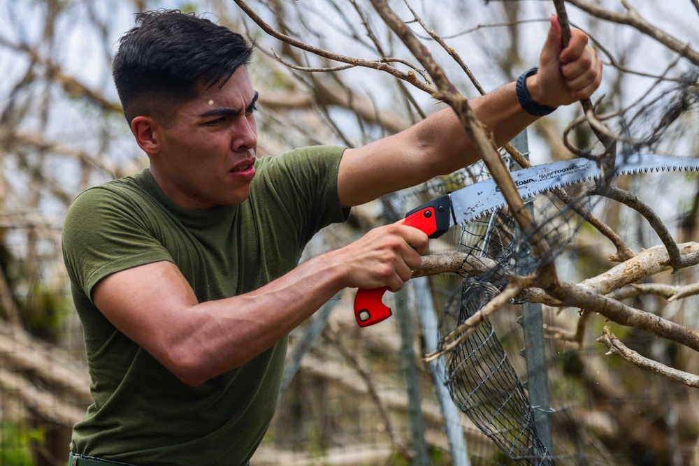 Camp Blaz Marines Participate In Forest Enhancement