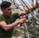 Camp Blaz Marines Participate In Forest Enhancement