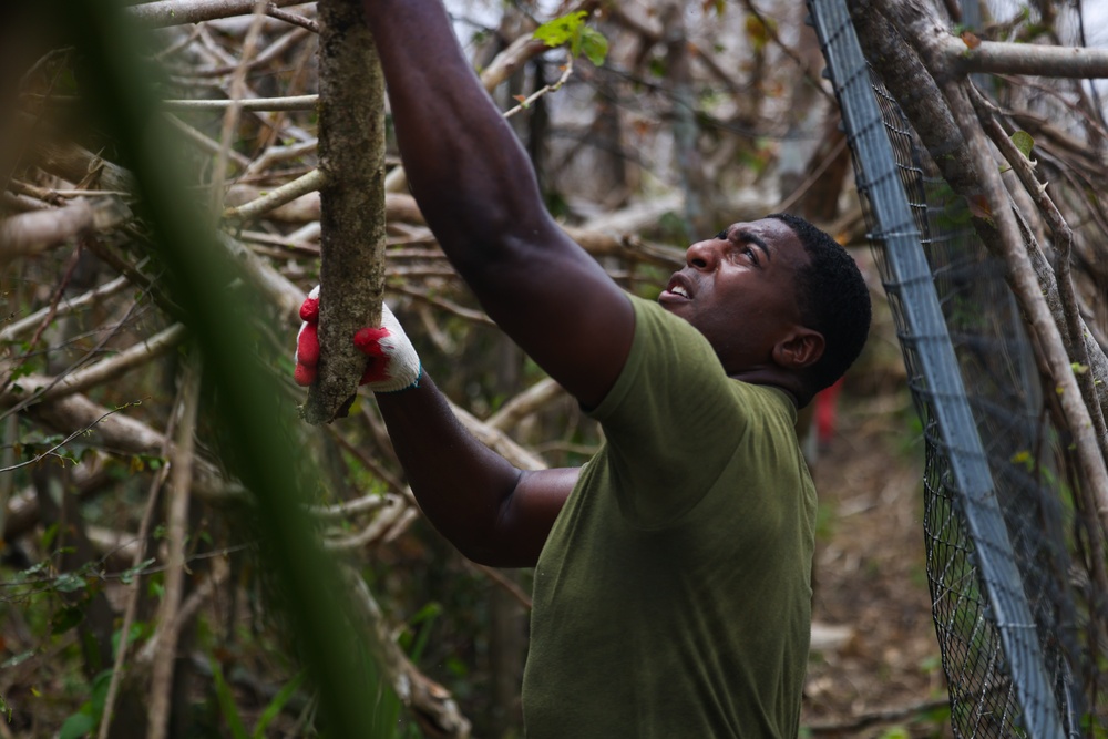 Camp Blaz Marines Participate In Forest Enhancement