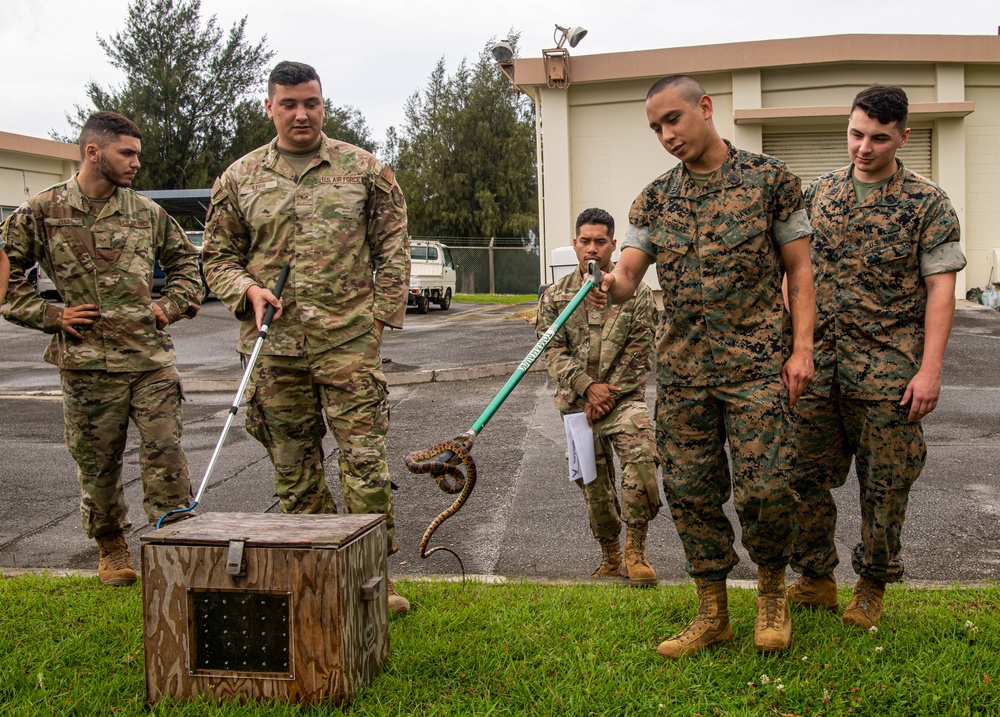 18th CES, 3DMEDBN conduct snake handling SMEE