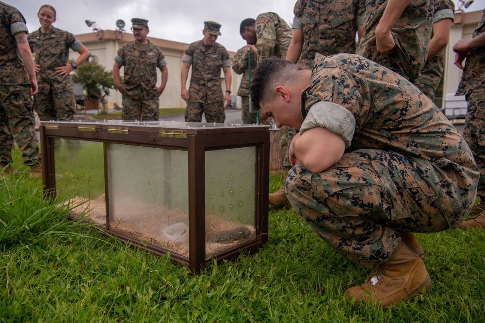 18th CES, 3DMEDBN conduct snake handling SMEE