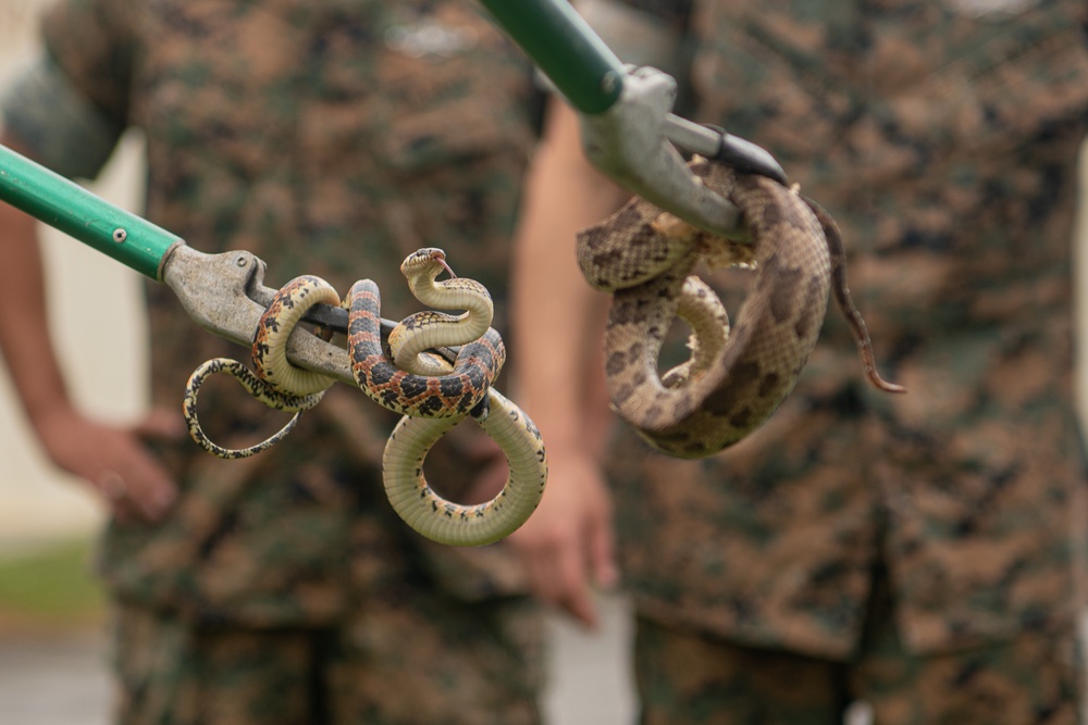 18th CES, 3DMEDBN conduct snake handling SMEE