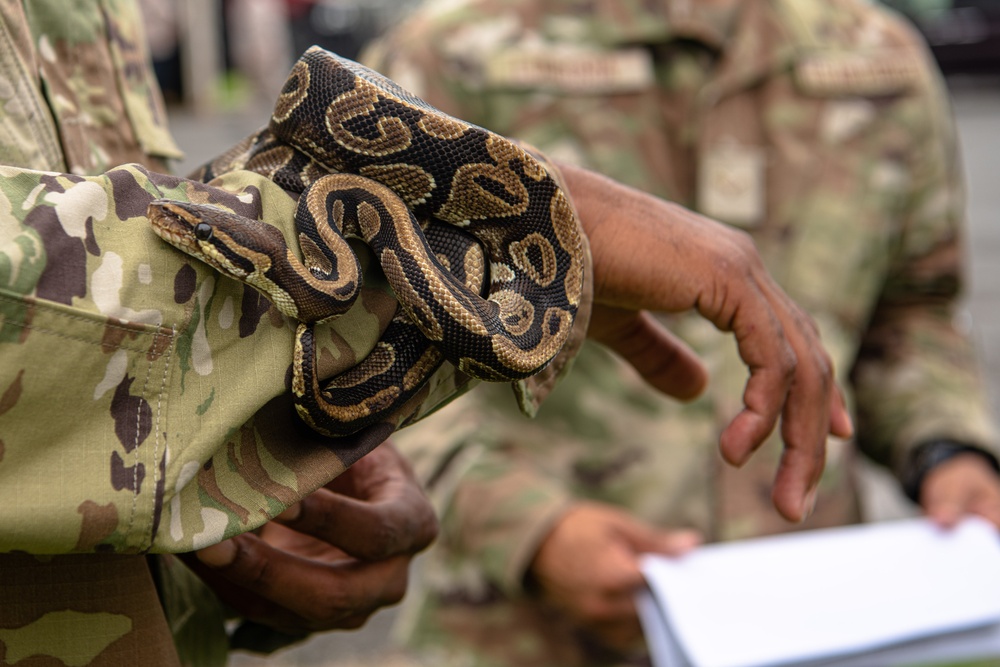 18th CES, 3DMEDBN conduct snake handling SMEE