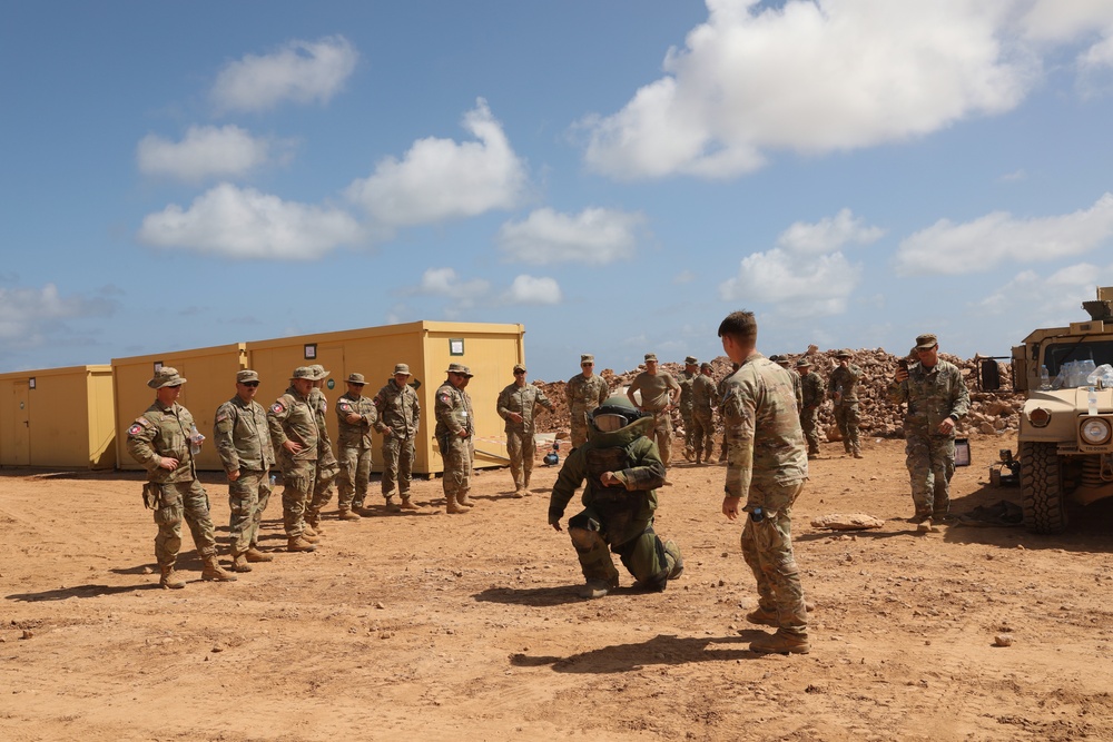 430th EOD shows 145th FA how to walk during African Lion 23