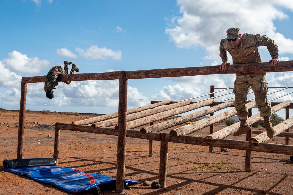 SFAB oversees obstacle course training at BIR